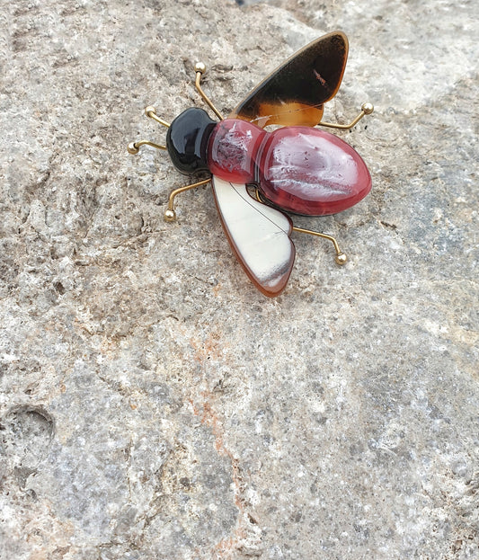 Spilla apetta