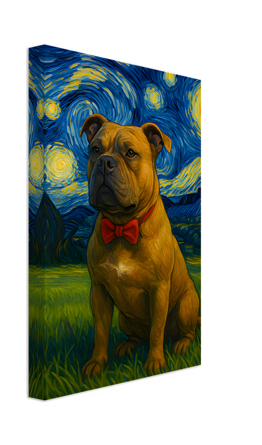 Quel Van Ghogh del tuo cane